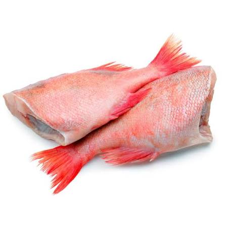 Red Bream (500-700)