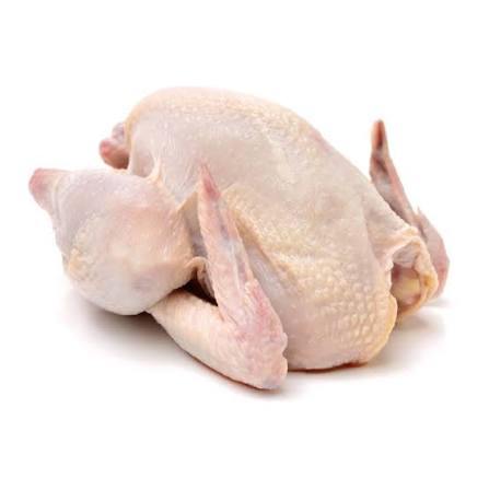 Fresh/Frozen Hens Whole