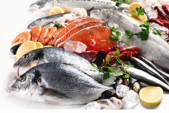 Fish & Seafood