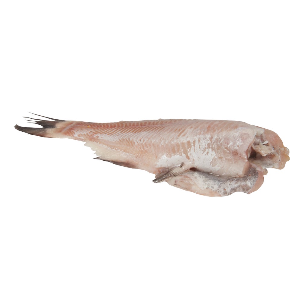 Catfish (500-800)