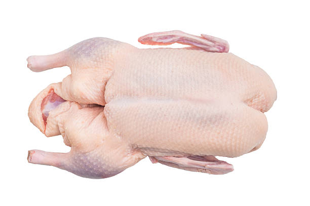 Duck 2.3kg x 6 (13.80kg)