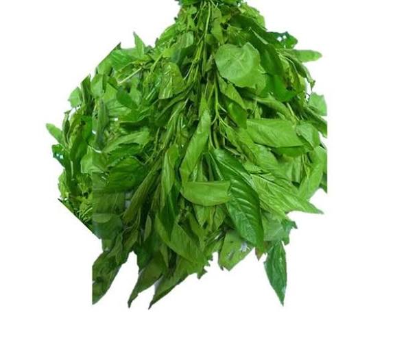 Ewedu